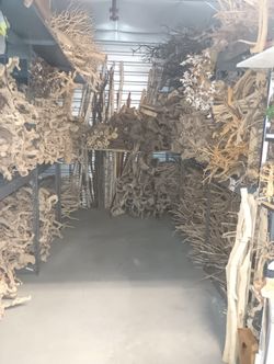 Driftwood Ideal For Home Decor Aquarium Fish Tank Ponds Reptiles Amphibians Table Centerpieces Etc 