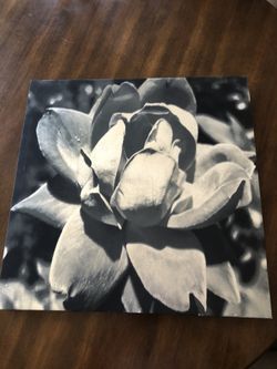 Blue flower bored for declarations