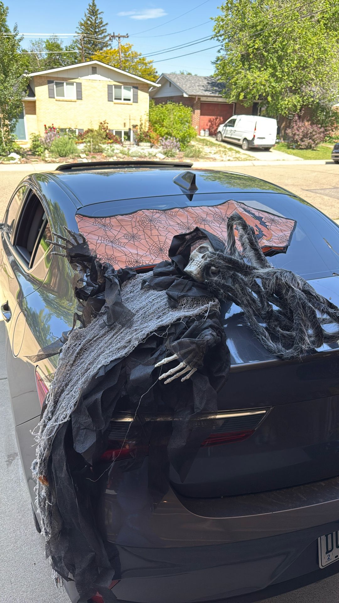 Halloween stuff