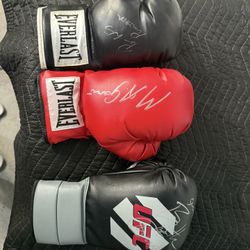 Signed Boxing Gloves