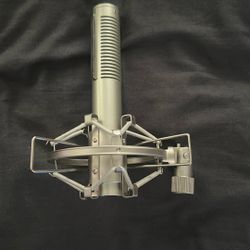 XLR mic with extended xlr cord