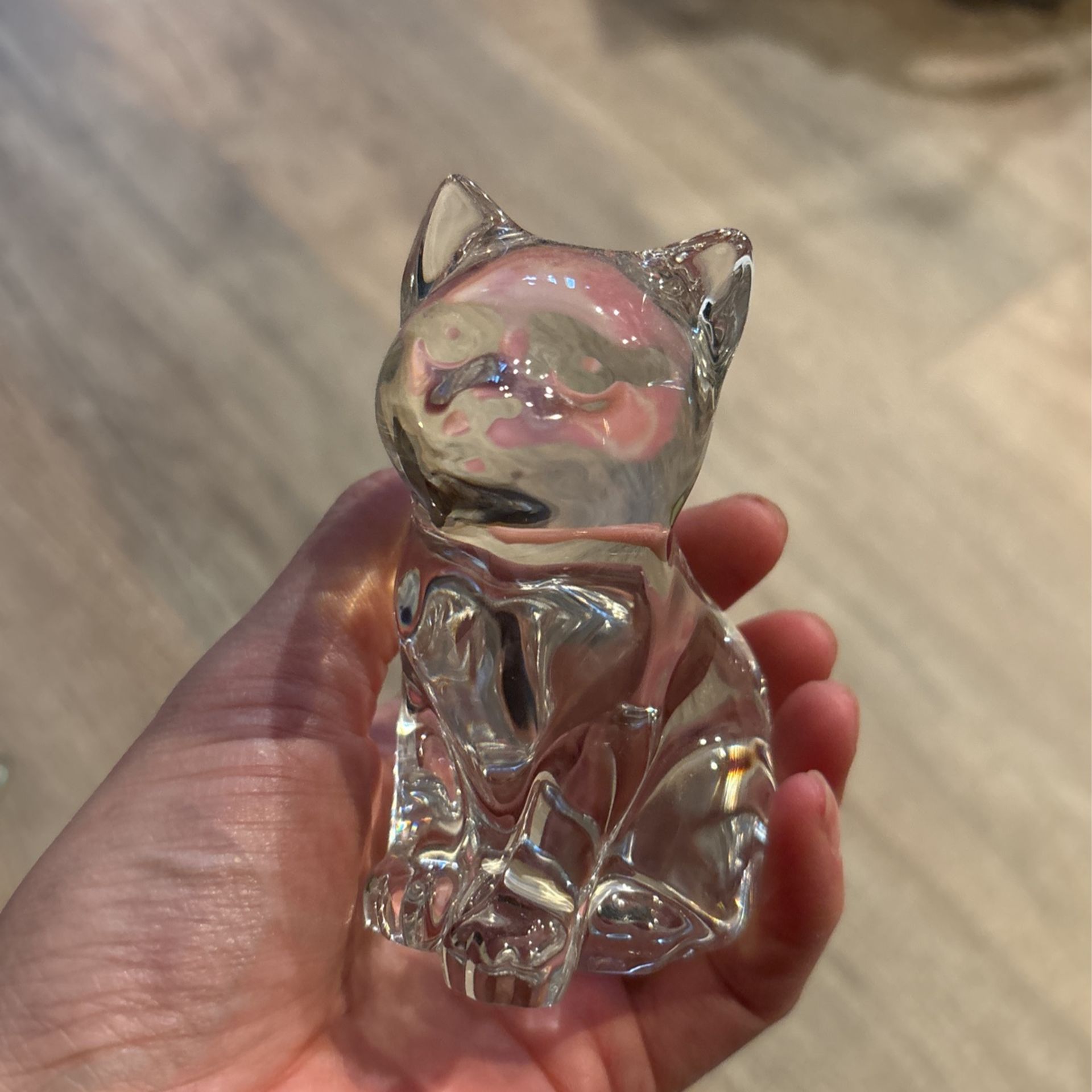 Glass Cat