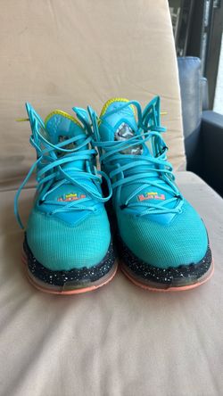 Lebron bas shoes