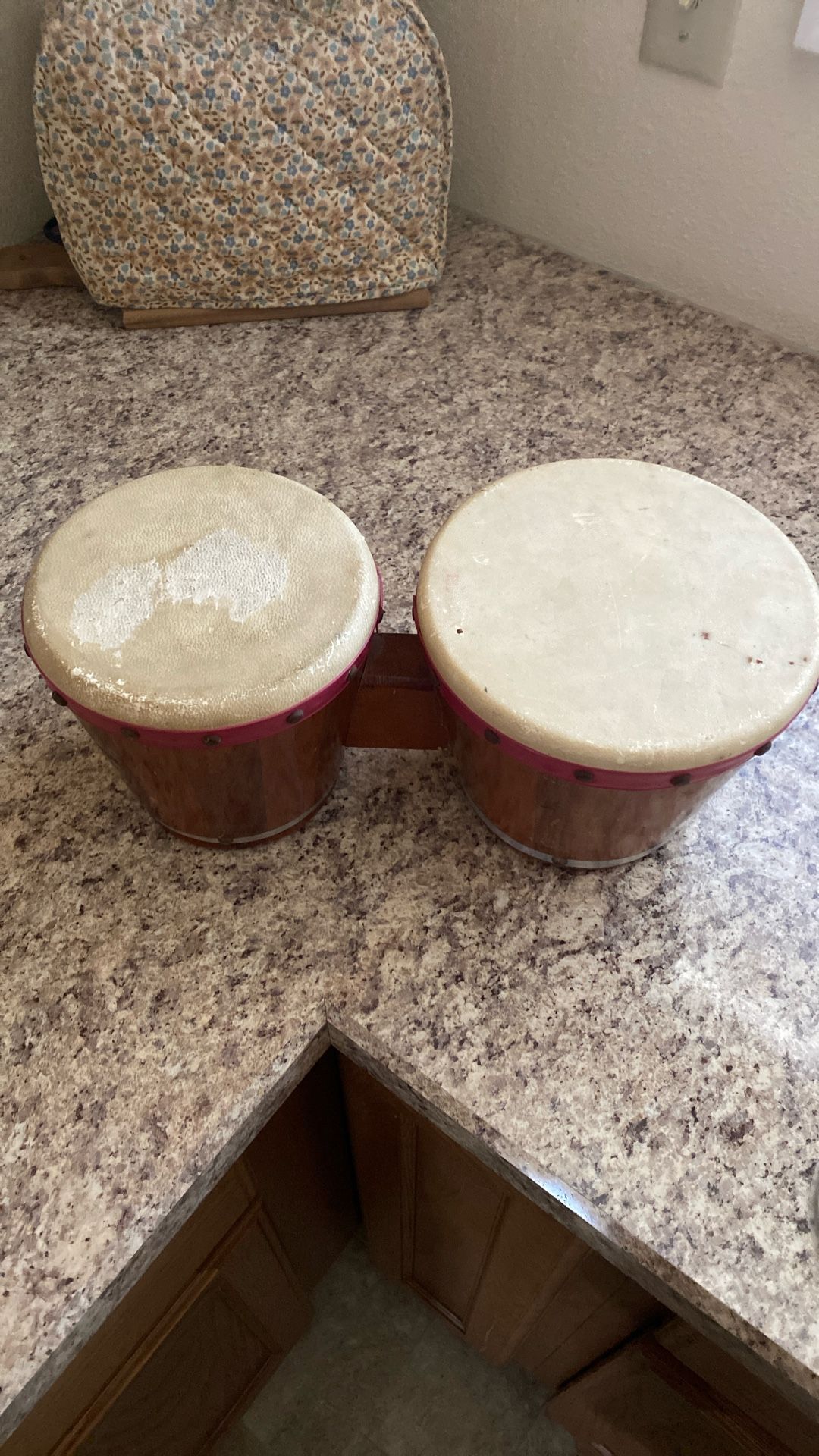 Bongo