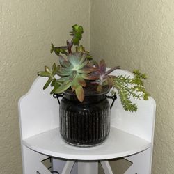 Beautiful Succulent Arrangements For Mothers Day