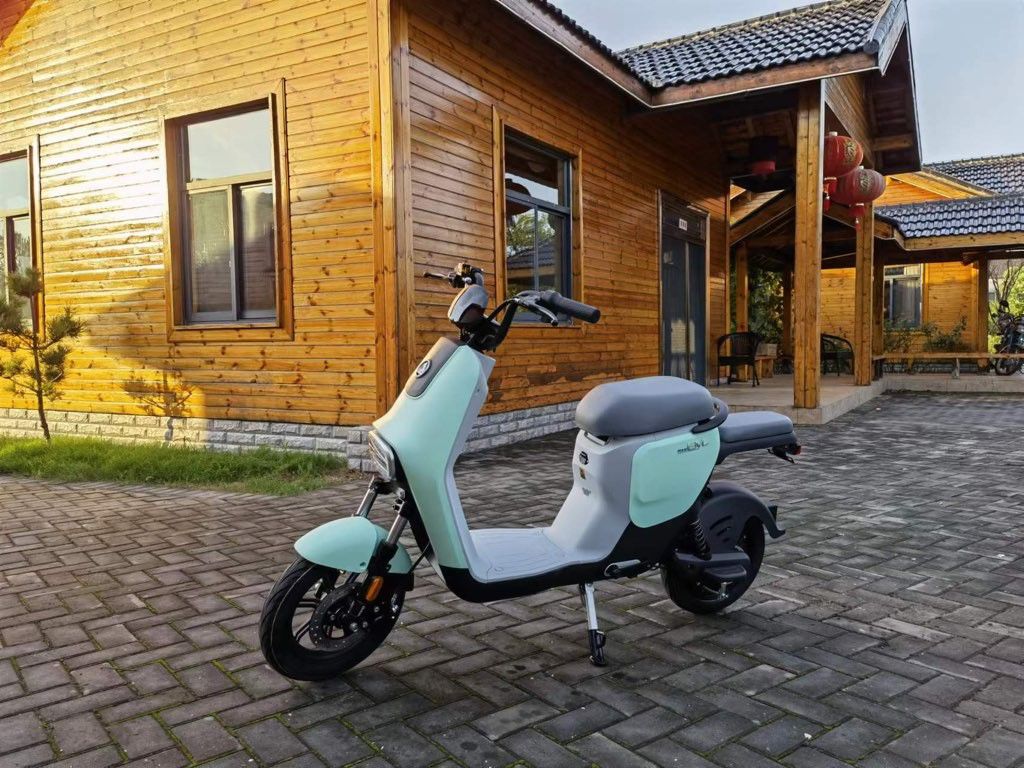 Electric Scooter & New & 2023 & 0 Miles 