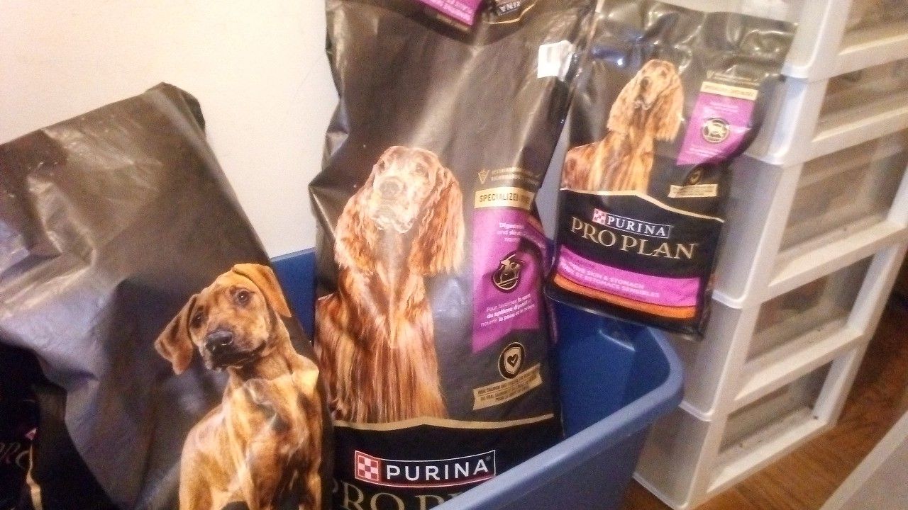 Purina Pro Plan And Royal Canine Dog Food
