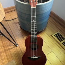 Ukulele In Great Condition 