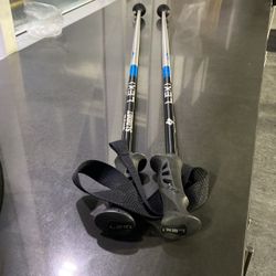 Ski Poles