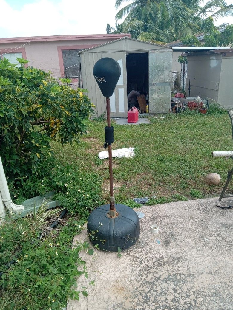 Everlast Reflex Bag $35 Or Best Offer Works Good Great Price Accepting First Reasonable Offer To Pickup