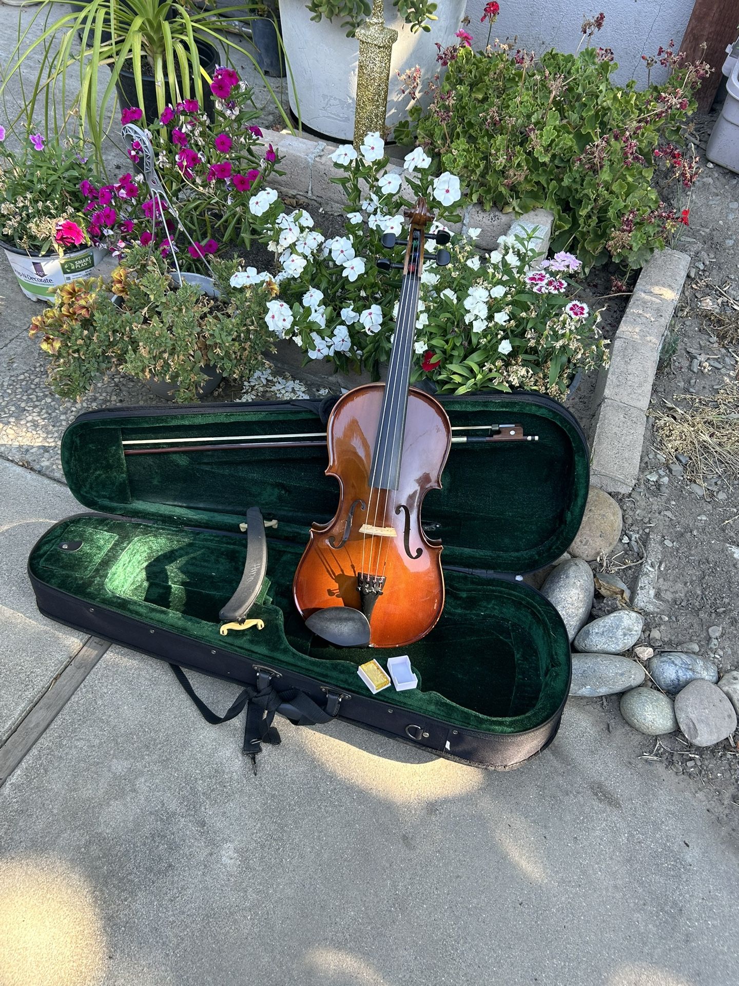 Viola Full Size 16. Gorgeous.