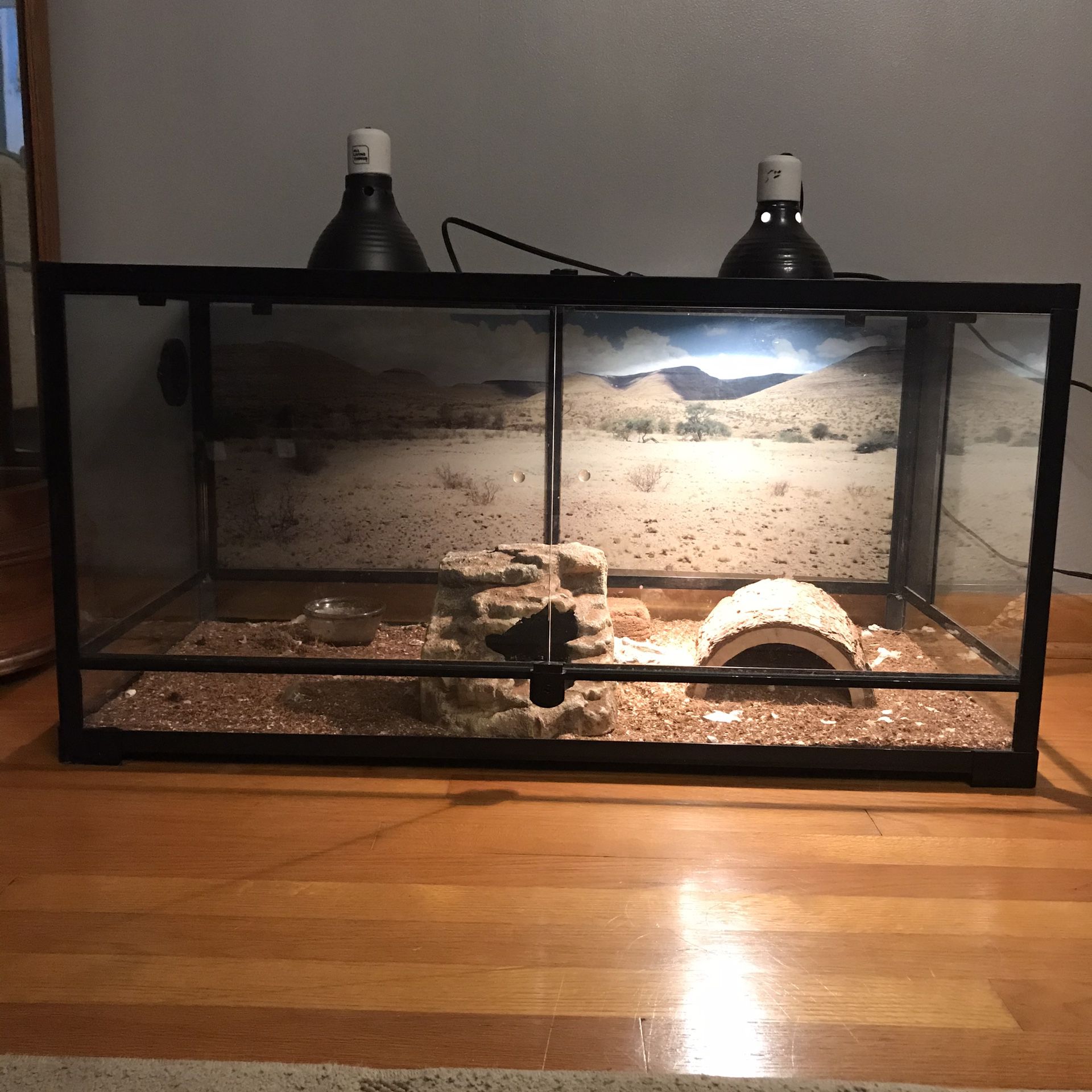 Reptile Tank - 50 gal