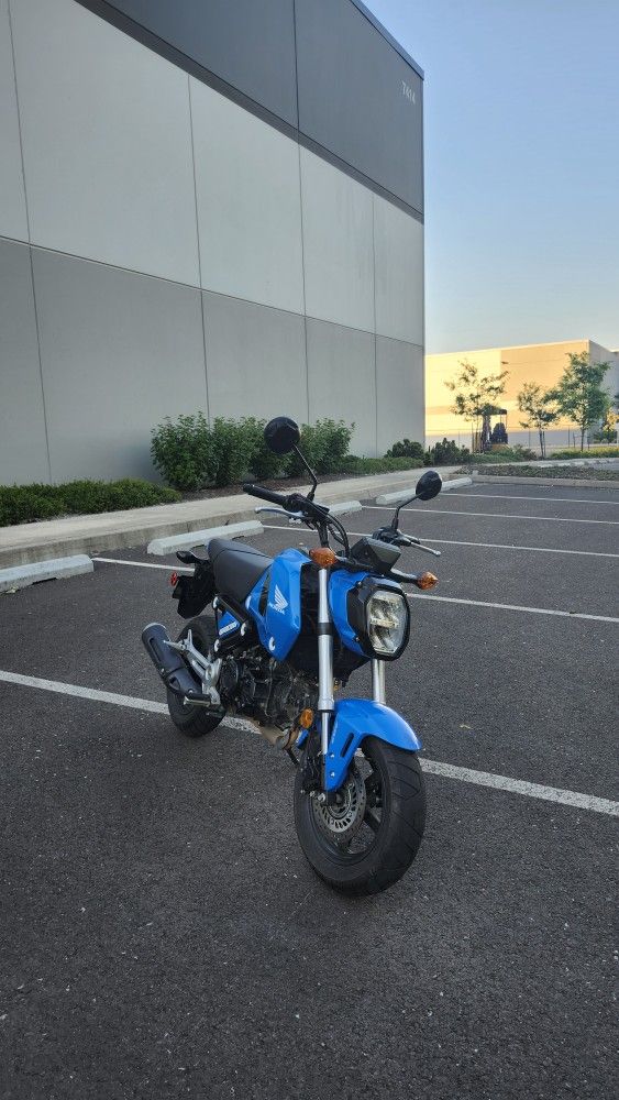 Honda Grom