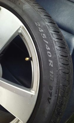 Pirelli one tire with rim only