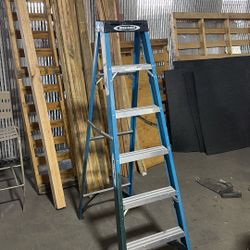 6ft Ladder (Werner)