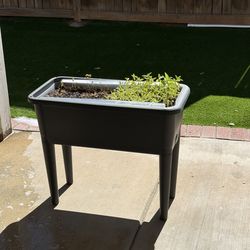 Vegetables 🥕  planter