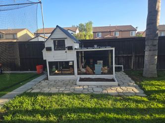 Chicken Coop & Supplies - Complete Backyard Setup