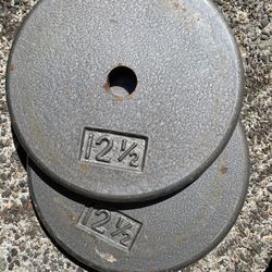 Pair Of 12.5 Lbs Standard Weight Plates