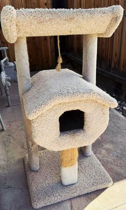 KITTY CONDO