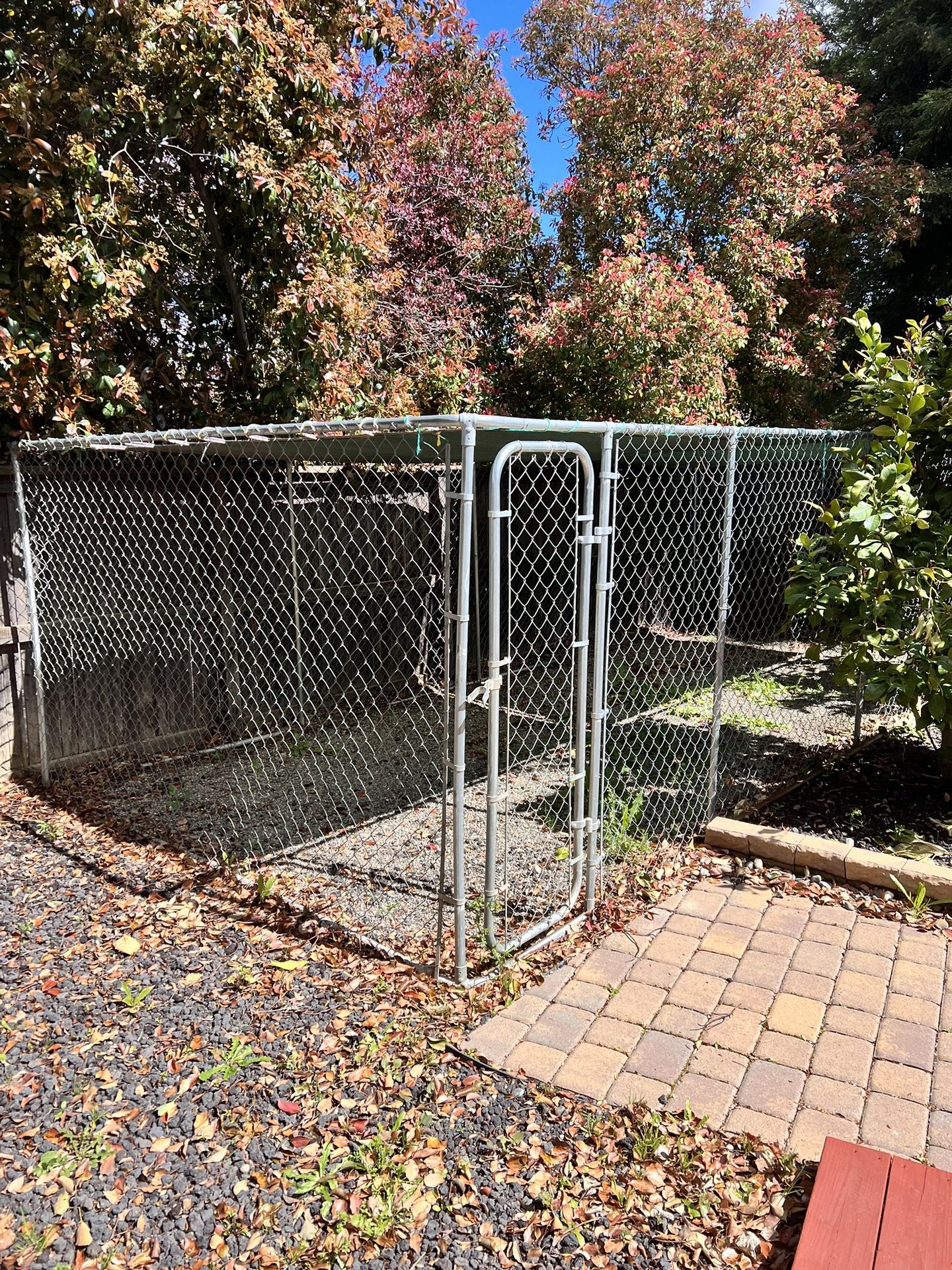 Dog Kennel