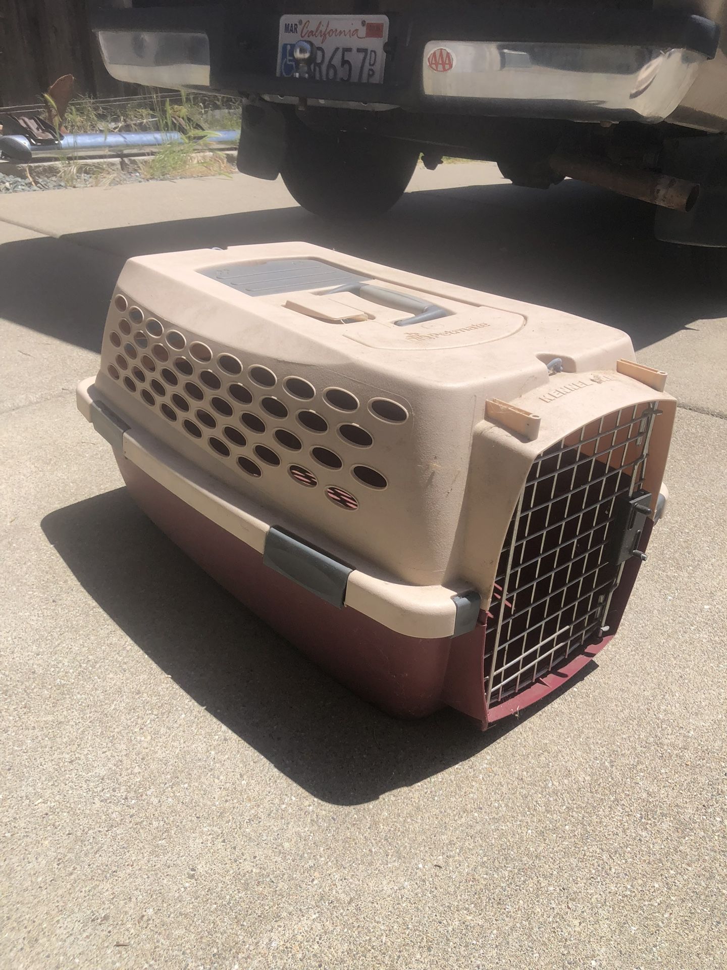 Hard Pet Carrier
