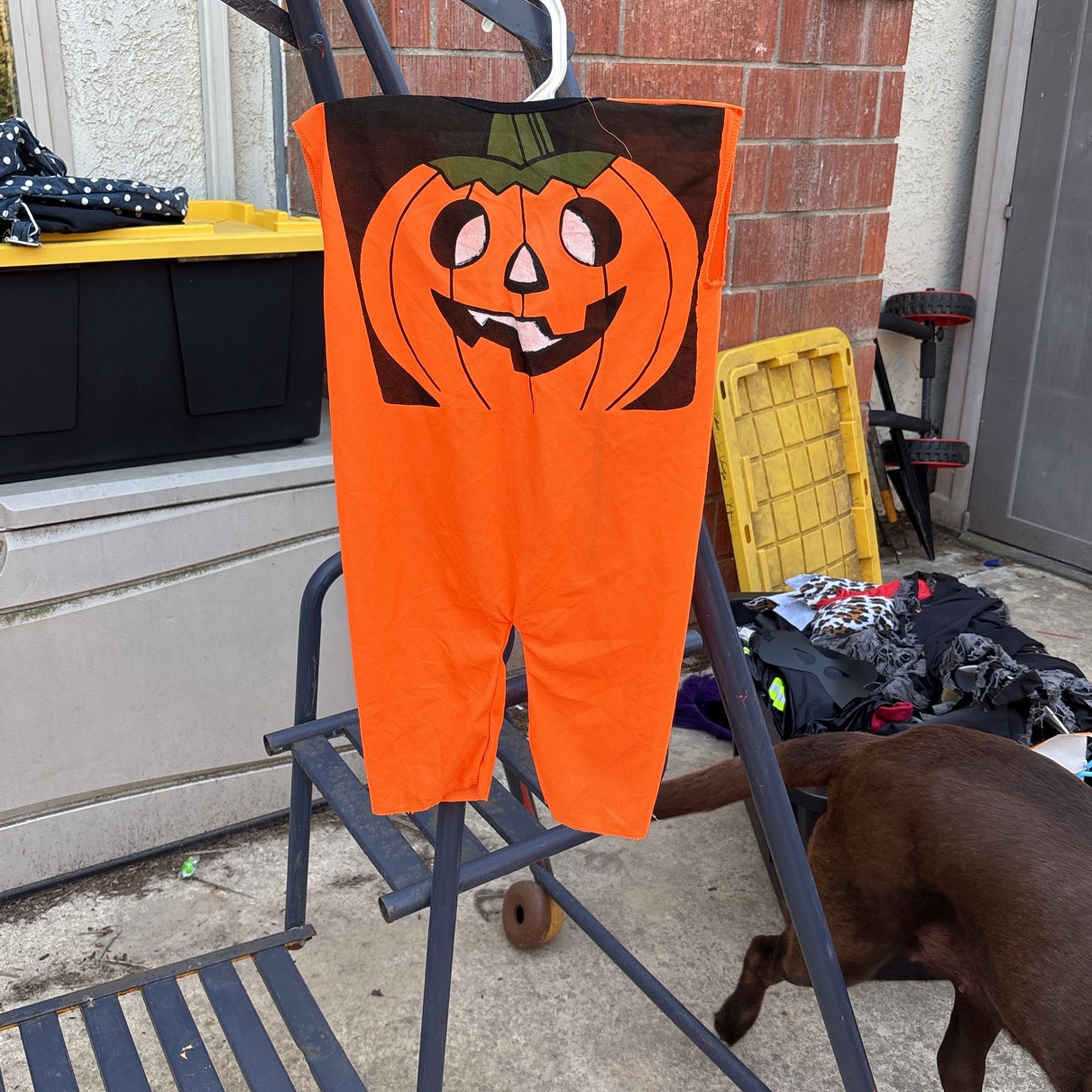 Pumpkin Costume