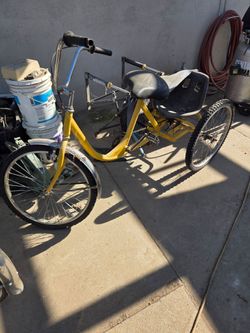 Utility trike