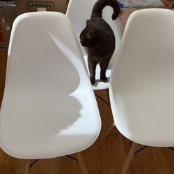 White Dining Chairs - Set of 3