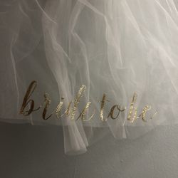 Bride To Be Veil 