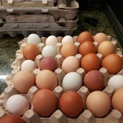 Farm Fresh Eggs - Monroe