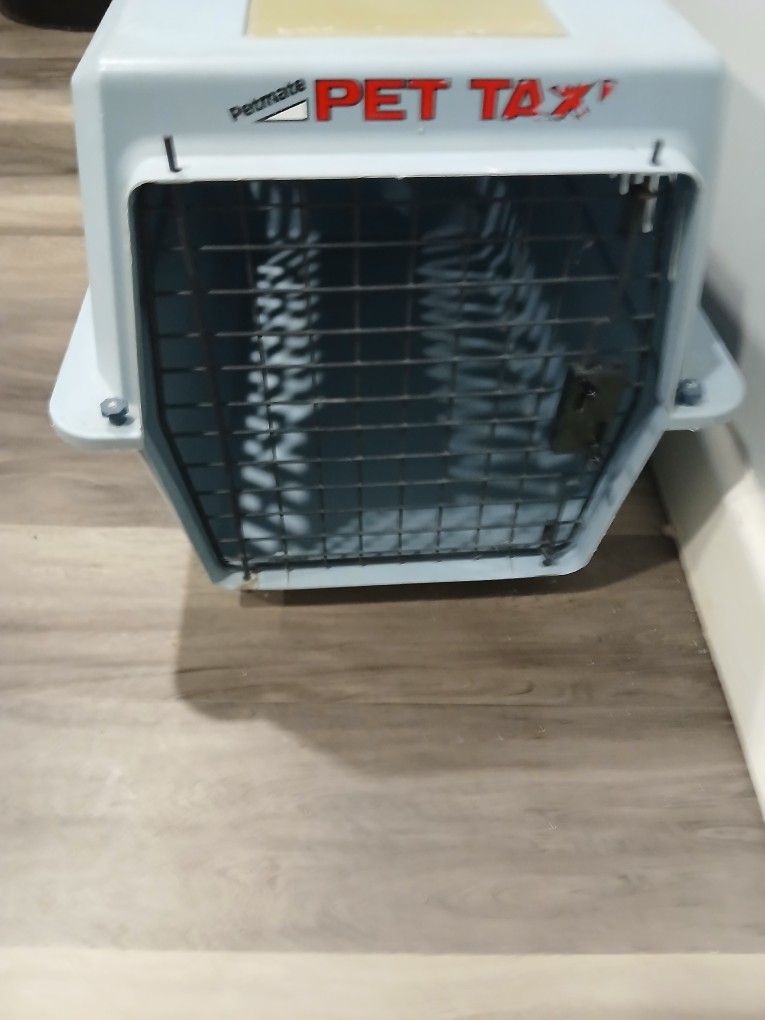 Cat Dog Carry