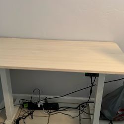 Sit N Stand Desk