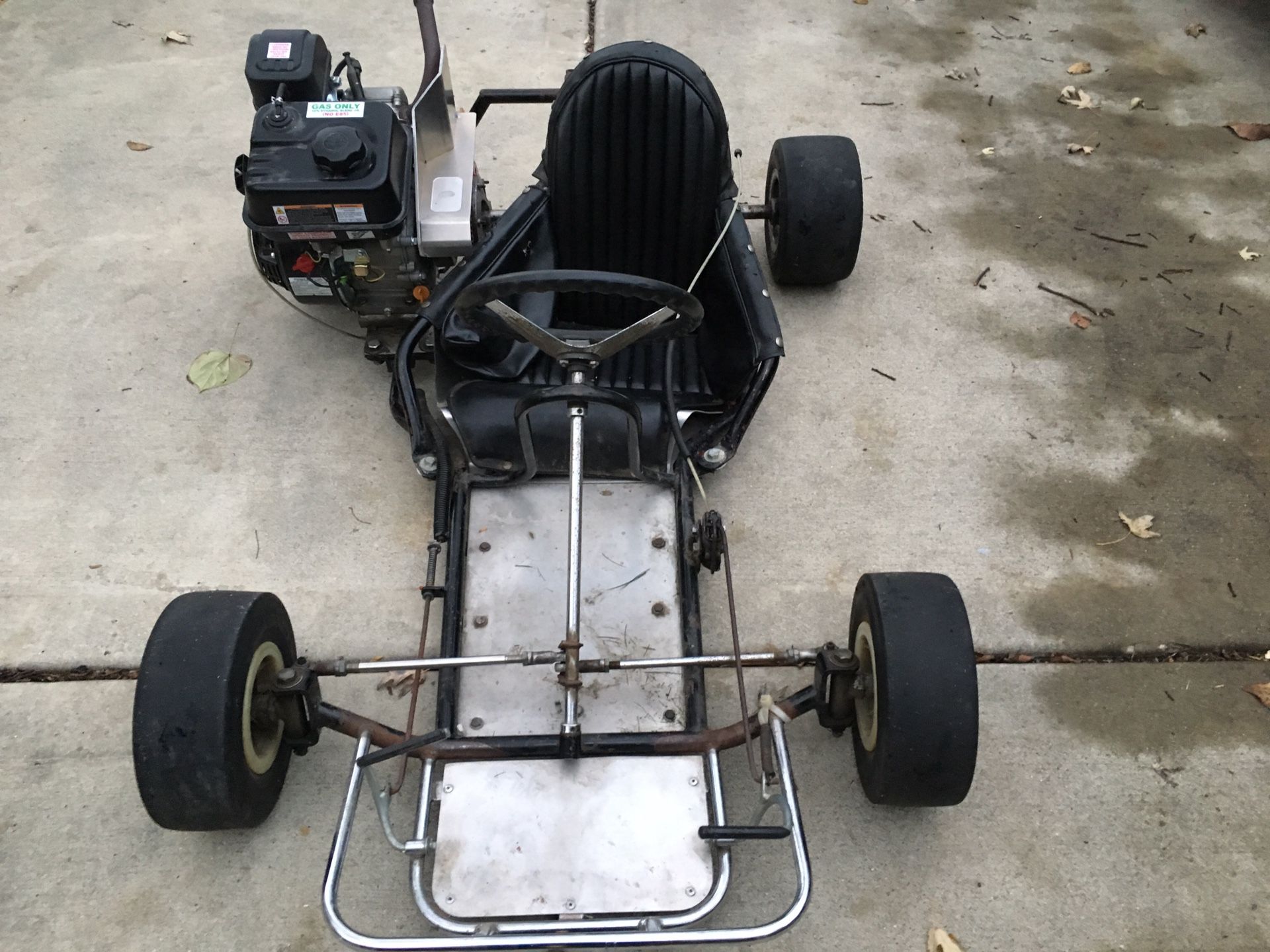 Stinger bug go kart