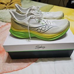 Saucony - Endorphin Speed 5