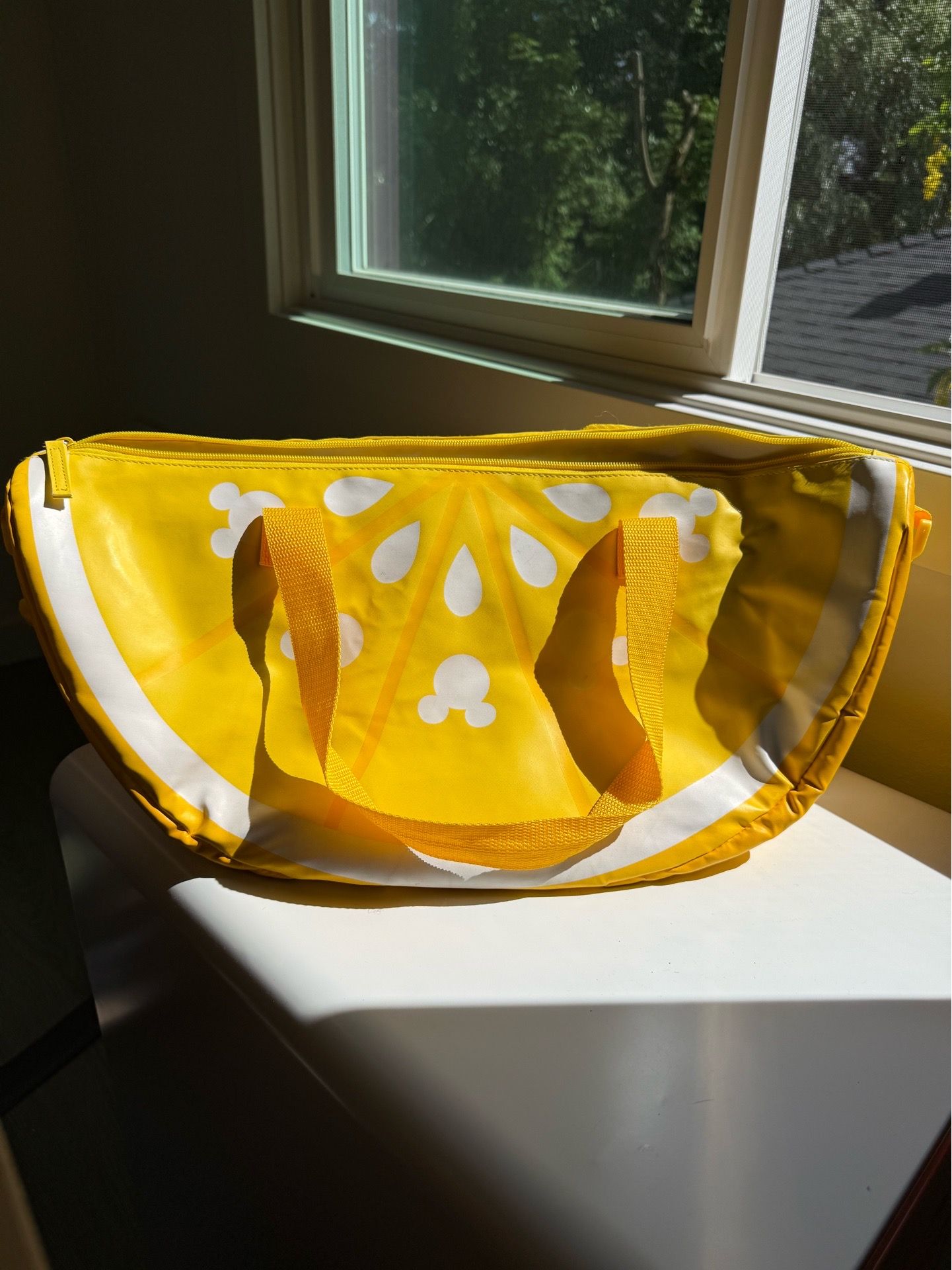 Lemon Disney Picnjc Bag