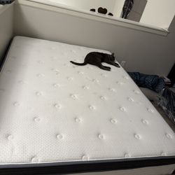 QUEEN MATTRESS PILLOW TOP