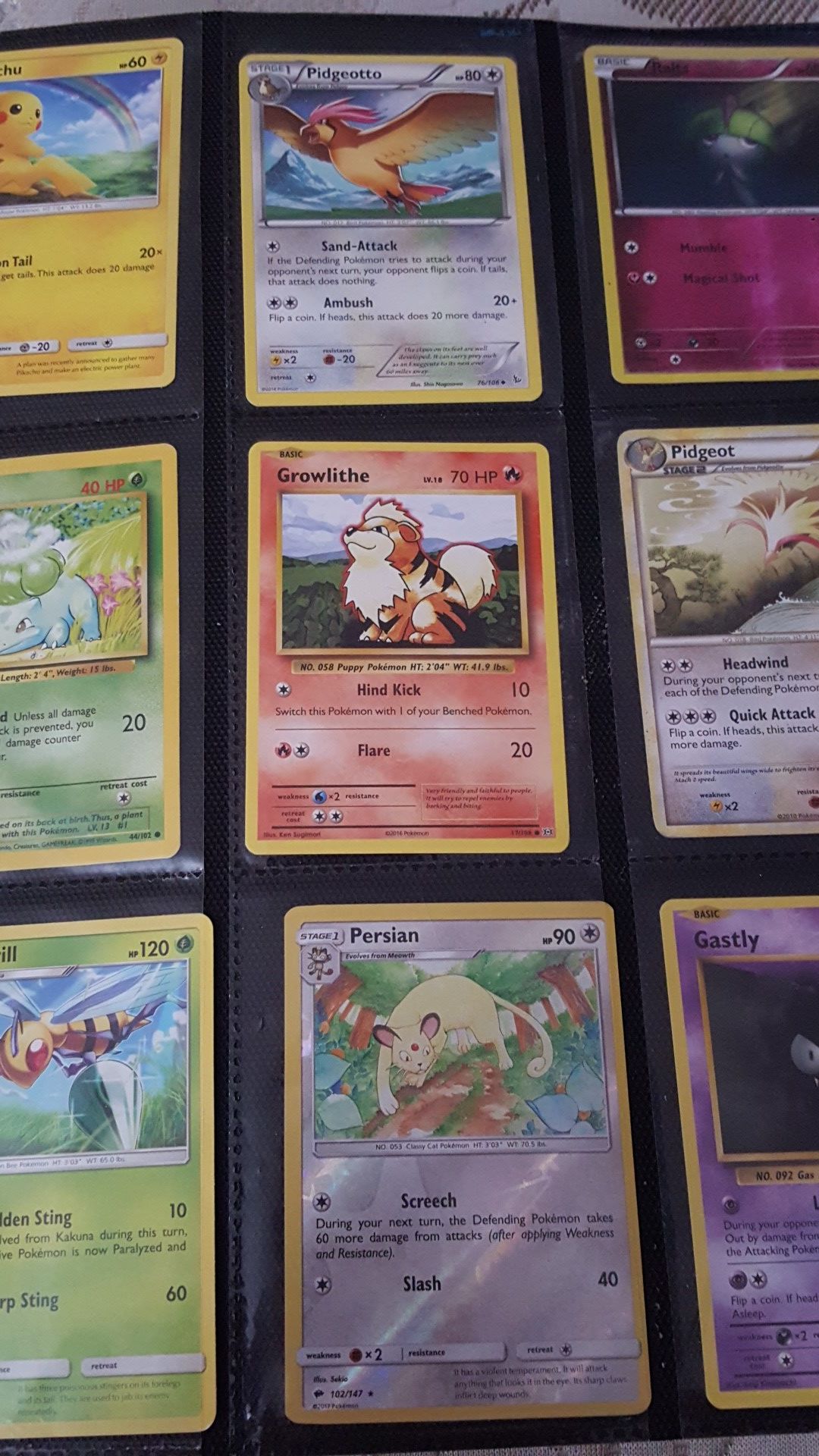 Pokemon card collection in ultra pro binder