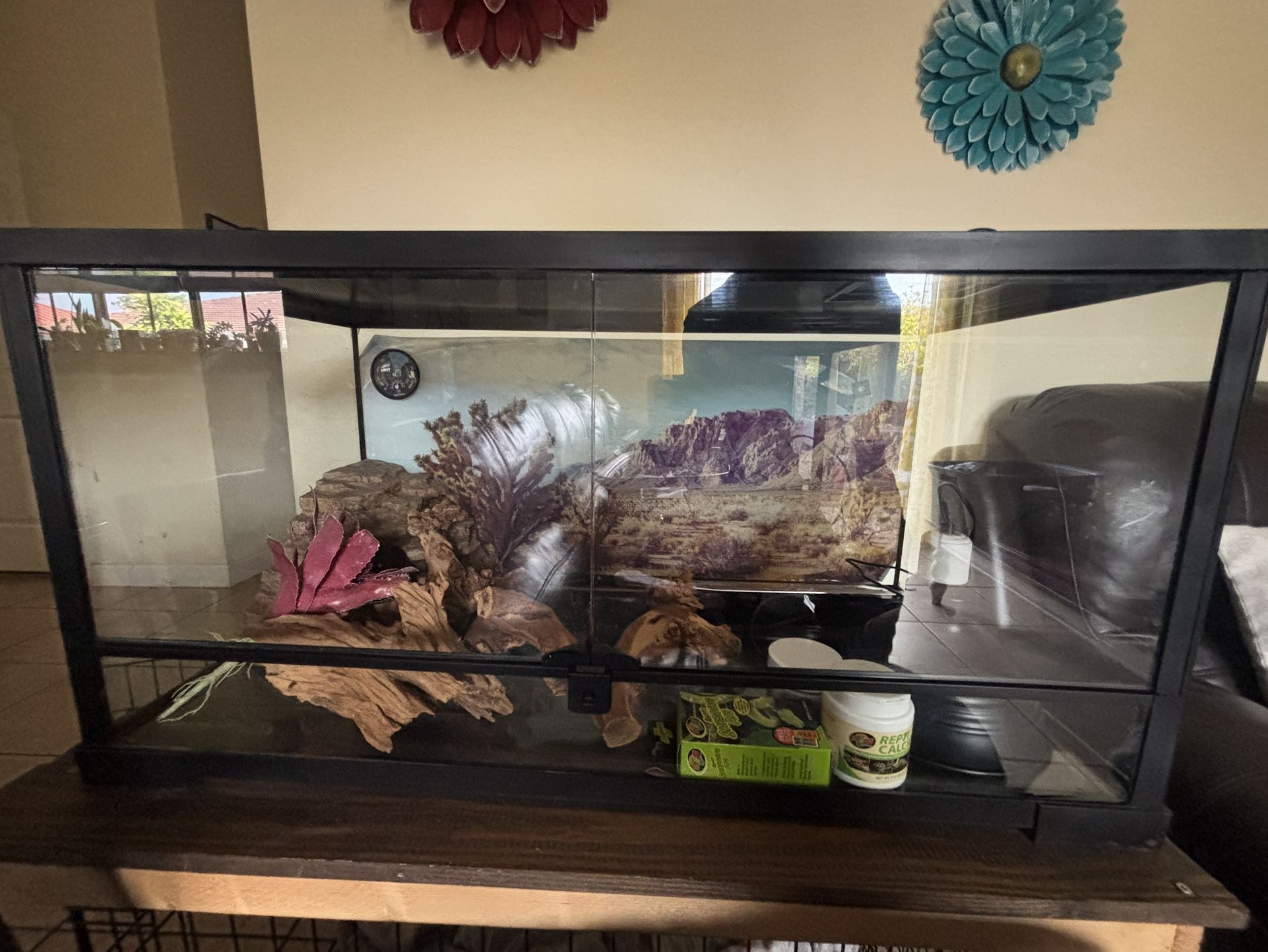 Bearded Dragon Glass Tank Terrarium 