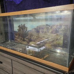 55 Gallon Tank 