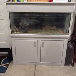 Fish tank With Stand 