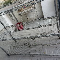 Three Shells Rack. Come with wheels also.