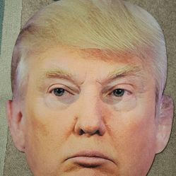 Trump Political Mask