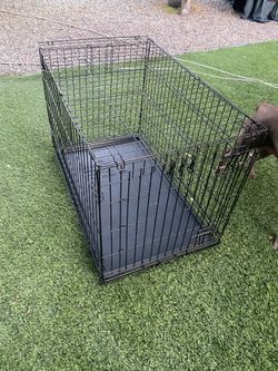 Médium dog crate