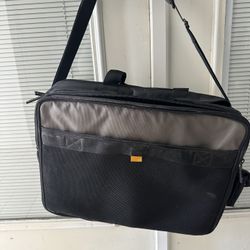 Work Bag For Professionals Like New