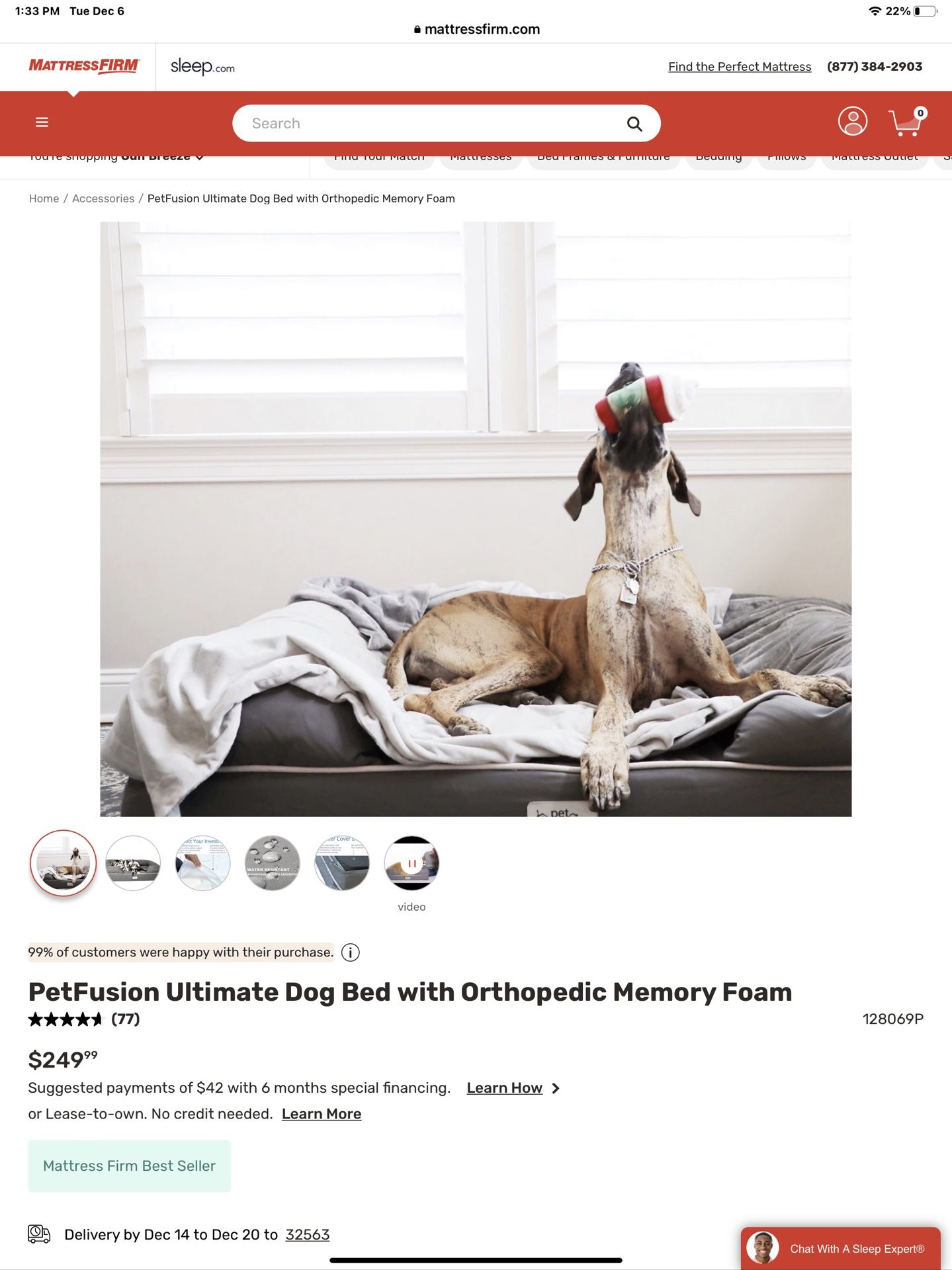 Petfusion Memory Foam Jumbo Bolster Dog Bed