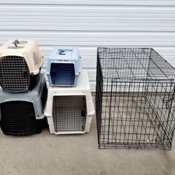 Dog Crates Assortment 