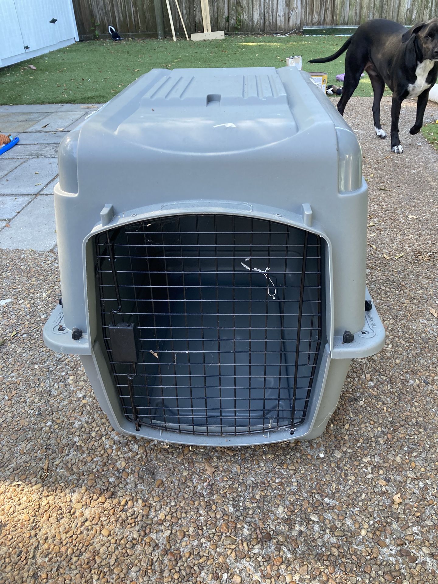 Dog Crate.