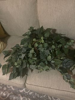 Artificial House Plant In A Basket