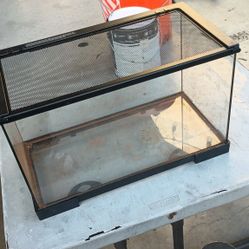 Fish Tank 