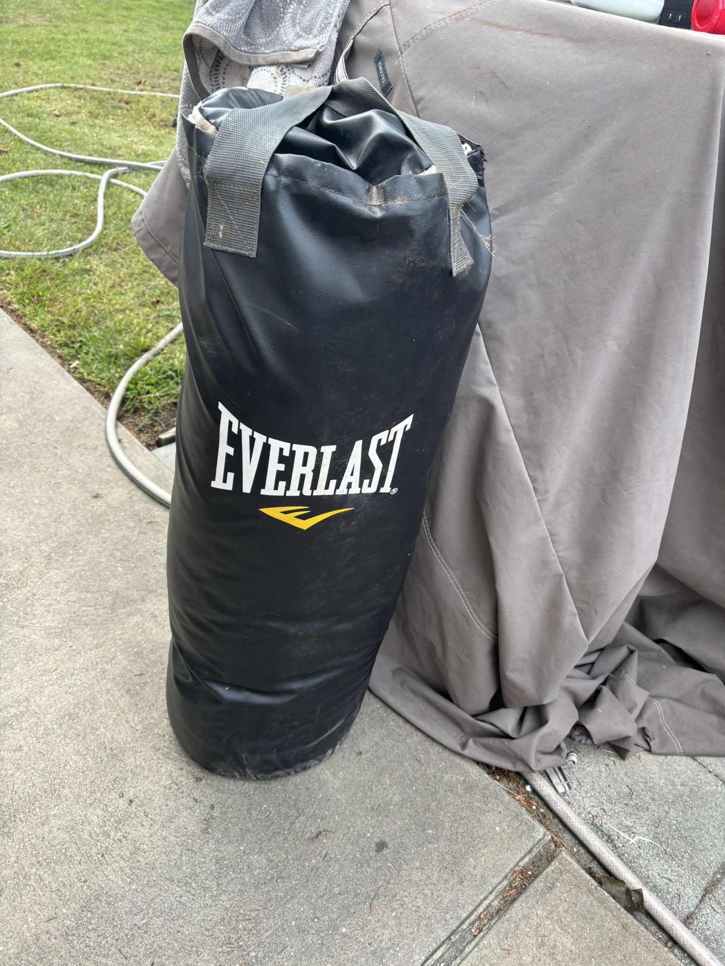 Everlast Punching Bag